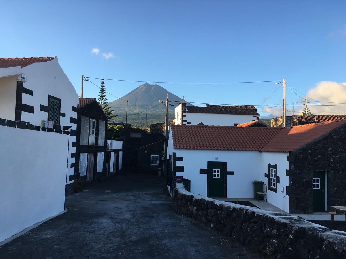 Casa Do Avo Cristiano Villa Madalena  Exterior photo